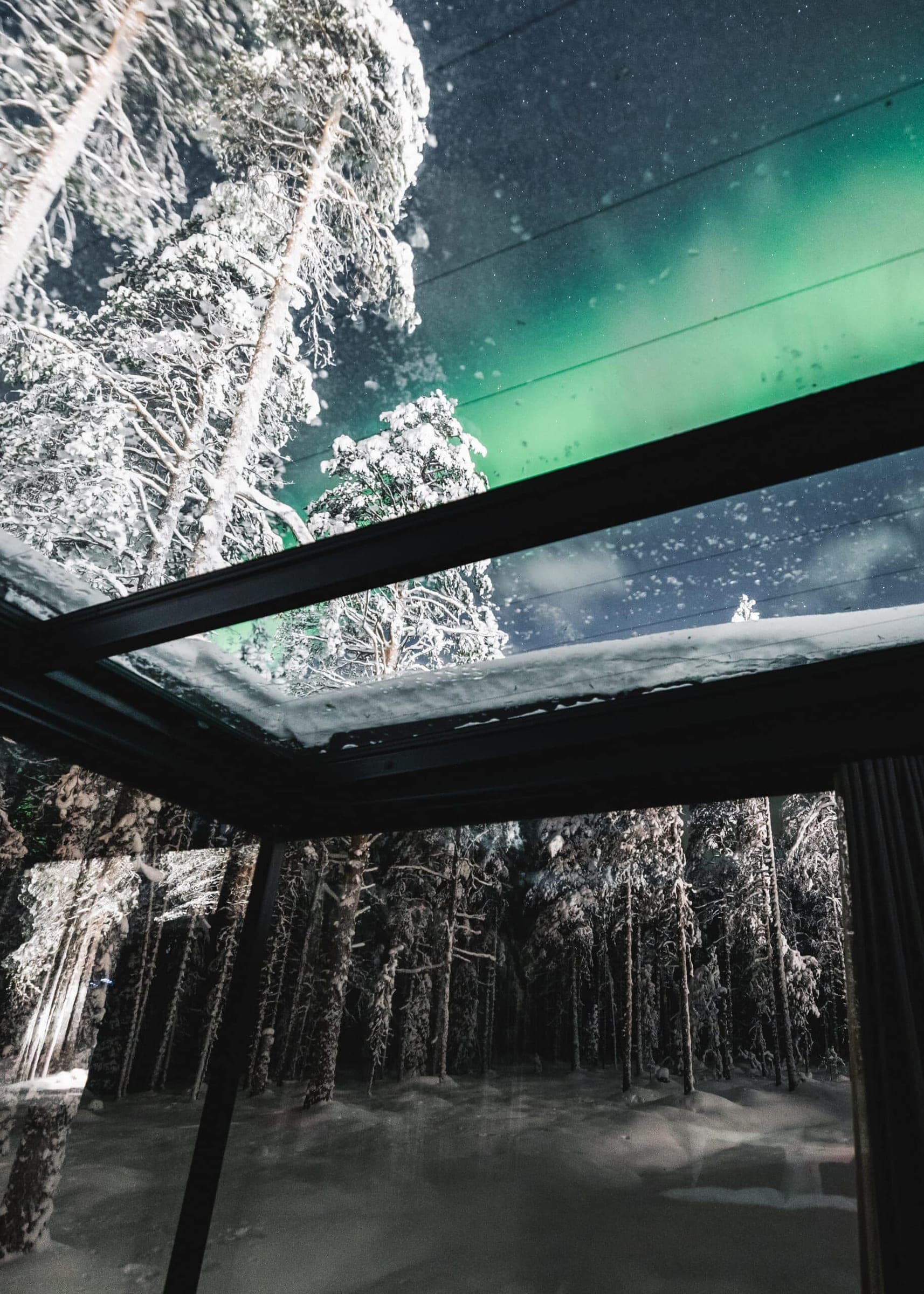 Auroras boreales y pinos nevados vistos a través del techo de cristal de la suite