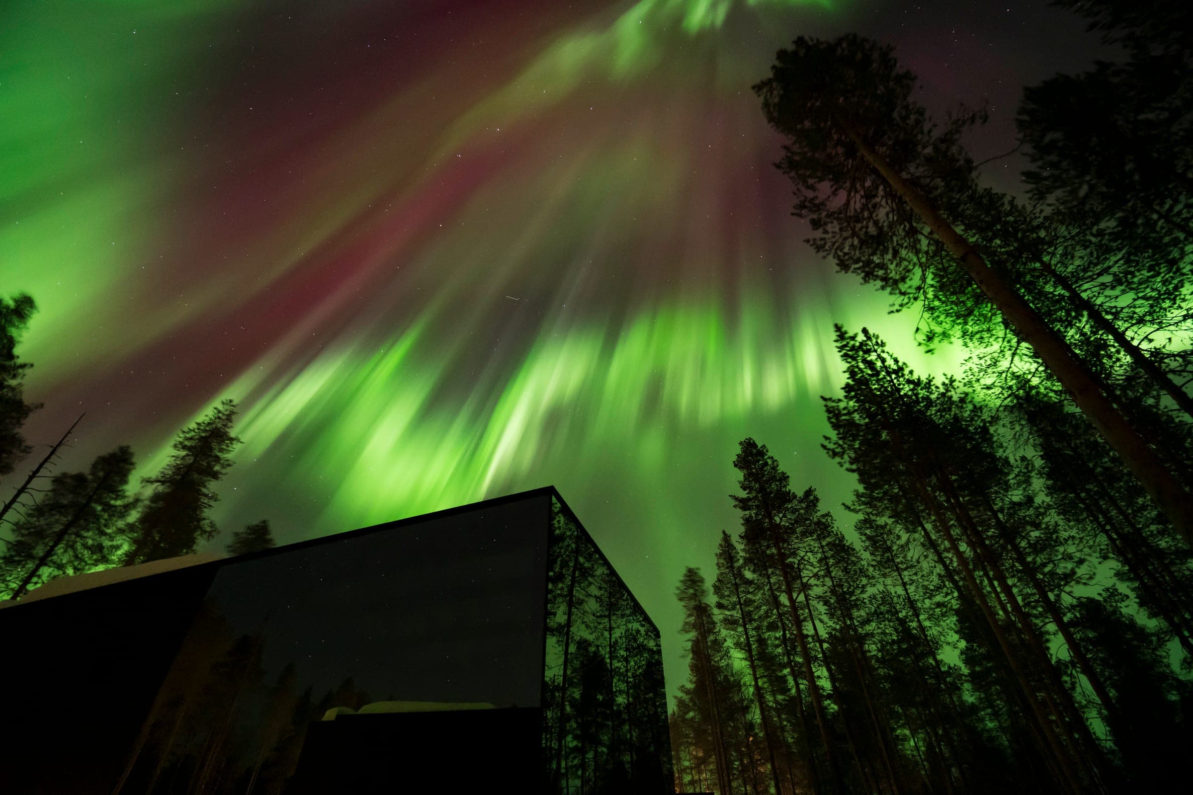 Auroras boreales verdes y violetas sobre una suite de cristal espejado entre altos pinos