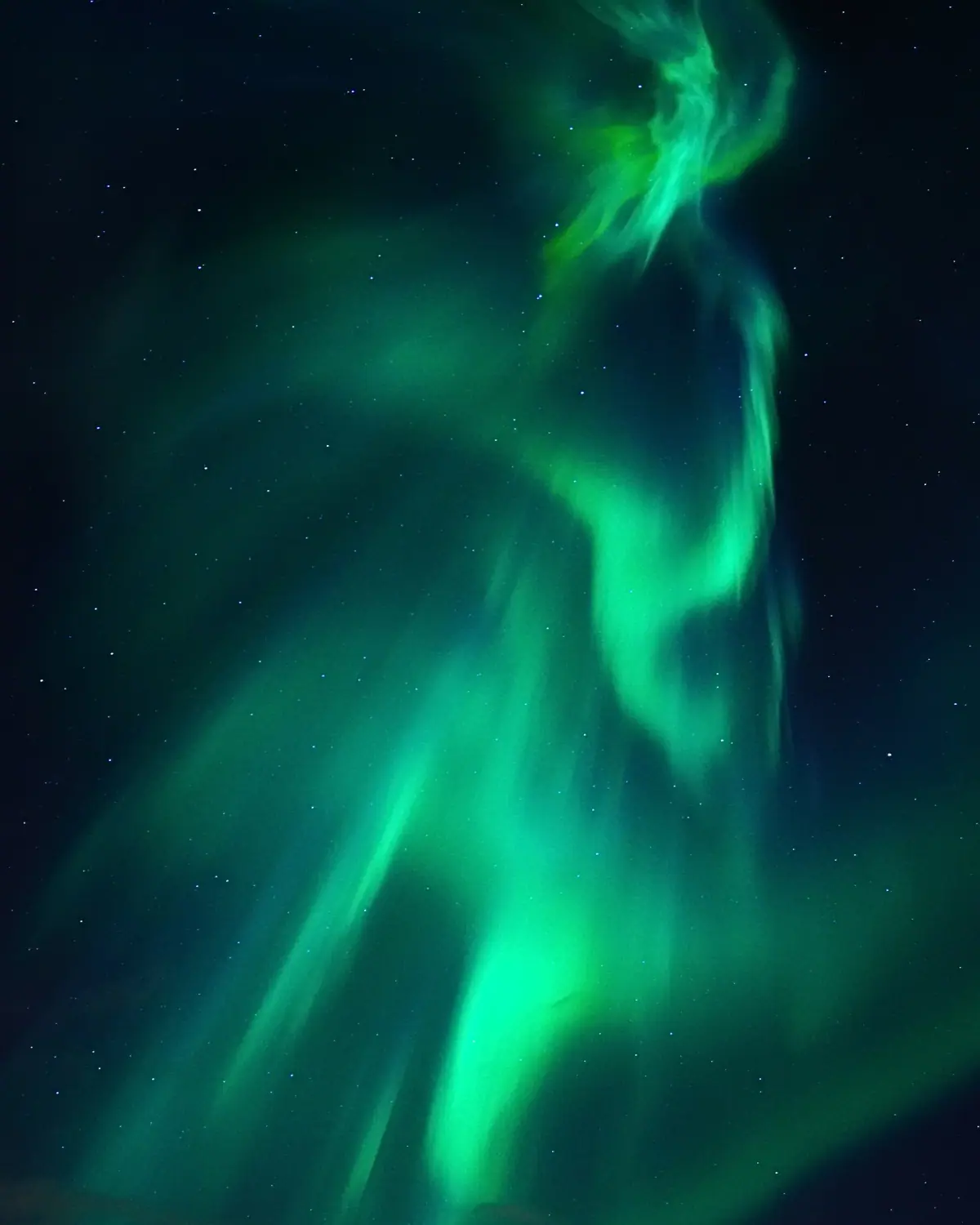 Auroras boreales verdes ondulando por un cielo estrellado